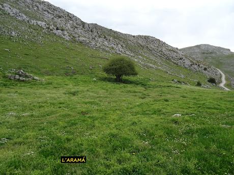 L´Ortigosu-La Cobertoria-La Mozquetona-Peña Escrita (o La Pena la Bizarrera)-Los Veneros