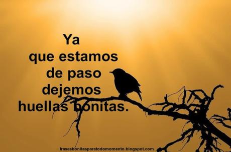 Ya que estamos de paso dejemos huellas bonitas.