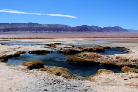 La puna catamarqueña