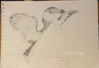 Algunos dibujos de alca