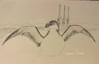 Algunos dibujos de alca