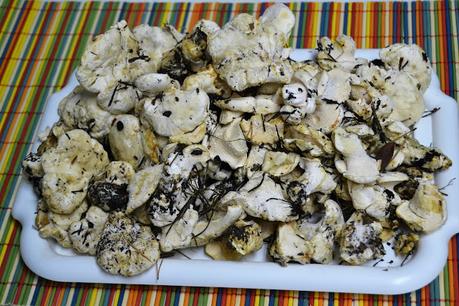 Llengua de Bou en conserva (setas)