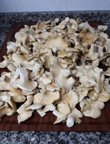 Llengua de Bou en conserva (setas)