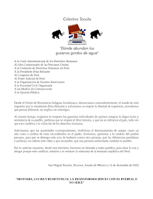 COLECTIVOS DE COMUNIDADES INDÍGENAS EN MÉXICO PIDEN RESPETO A LOS DERECHOS HUMANOS EN PERÚ