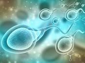 Tratamientos mejoran fertilidad espermatozoides