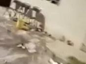 (video) pirotecnia, terreno incendia colonia Progreso