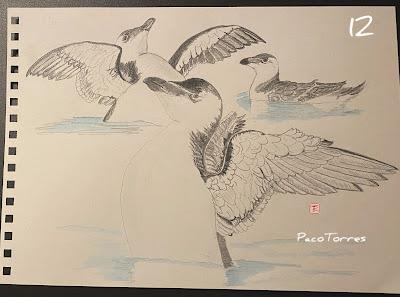 Otros dibujos de alcas