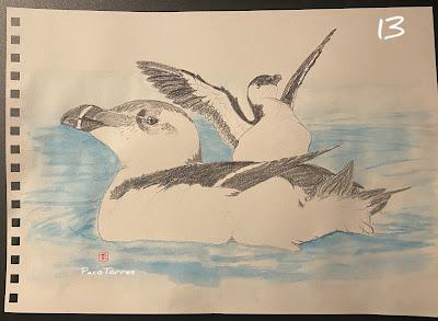 Otros dibujos de alcas