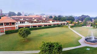 LENTEJAS ESTOFADAS CON SETAS