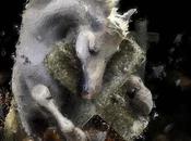 Marea, cara muerte ‘Nuestra fosa’