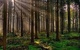 (Recopilación) Yo Escribo 52 Historias Semana 45 y 46 by Varios Autores