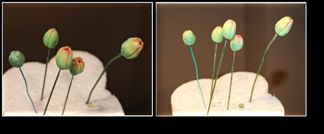 CÓMO HACER UNA ORQUÍDEA MARIPOSA CON FONDANT