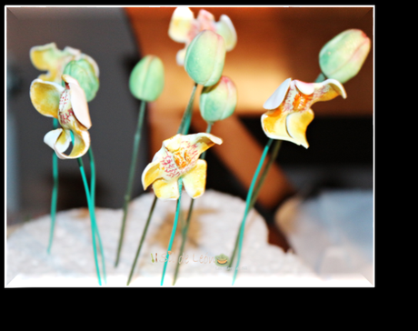 CÓMO HACER UNA ORQUÍDEA MARIPOSA CON FONDANT