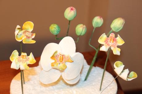 CÓMO HACER UNA ORQUÍDEA MARIPOSA CON FONDANT