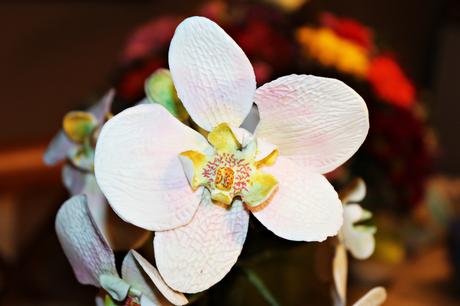 COMO-HACER-UNA-ORQUIDEA-DE-FONDANT-PASO-A-PASO