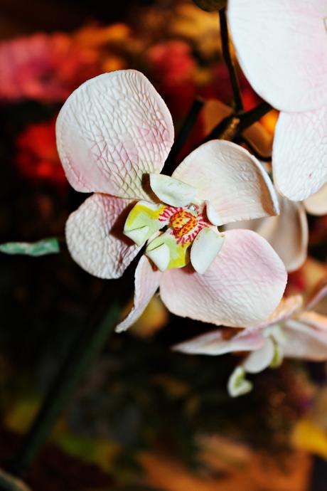 COMO-HACER-UNA-ORQUIDEA-DE-FONDANT-PASO-A-PASO