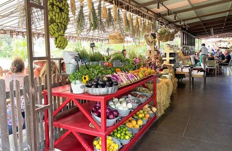 Las 11 mejores cosas para hacer en San José del Cabo Las 11 mejores cosas para hacer en San José del Cabo