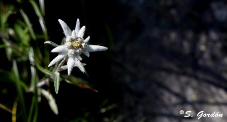 PARQUE NACIONAL DE ORDESA Y MONTE PERDIDO