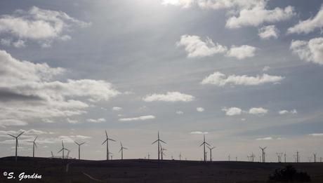 EL DIAPIRO DE POZA DE LA SAL