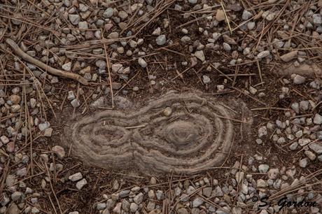 CIUDAD ENCANTADA: EL RECUERDO DEL MAR