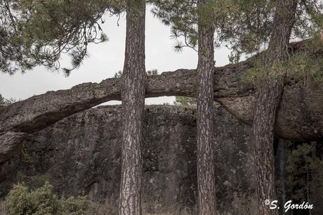 CIUDAD ENCANTADA: EL RECUERDO DEL MAR