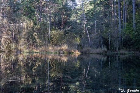 CIUDAD ENCANTADA: EL RECUERDO DEL MAR