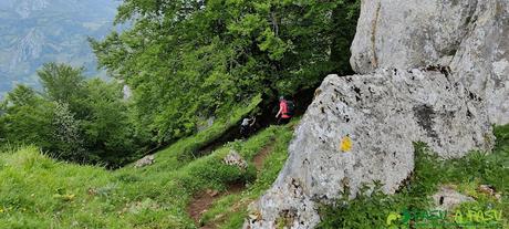 Entrada en el hayedo sobre la Collada Doñango