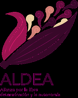 EL CONGRESO DE LA UNIÓN DEBE REINCORPORAR DERECHOS INDÍGENAS EN LA REFORMA ELECTORAL: ALDEA