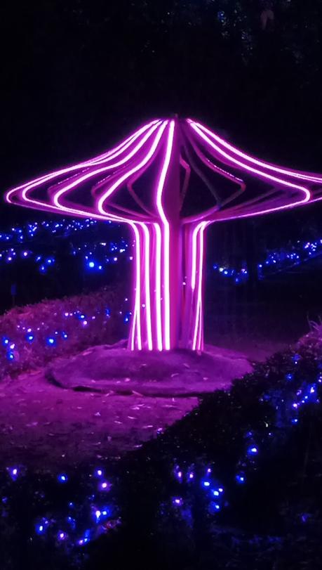 NATURALEZA ENCENDIDA