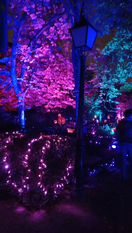 NATURALEZA ENCENDIDA