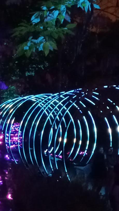 NATURALEZA ENCENDIDA