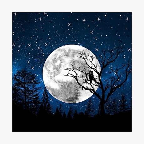 LA SENDA DE TWIN PEAKS