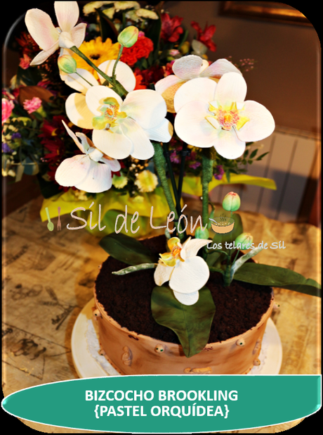 BIZCOCHO BROOKLING {PASTEL ORQUÍDEA MARIPOSA}