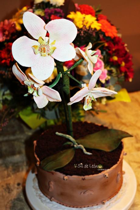 BIZCOCHO BROOKLING {PASTEL ORQUÍDEA MARIPOSA}