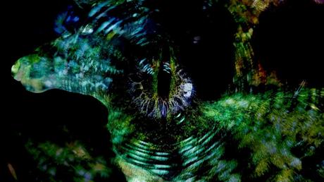 IDFA 2022 - Parte 5: Memoria IDFA 2022 - Parte 5: Memoria