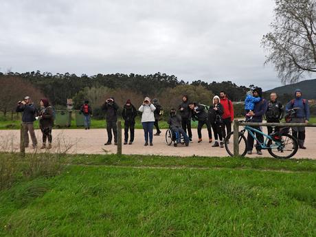 Excelente acogida en la ruta ornitológica 'As aves do inverno' por el estuario del Miño Excelente acogida en la ruta ornitológica 'As aves do inverno' por el estuario del Miño