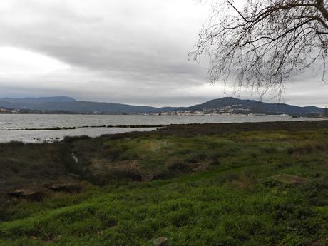 Excelente acogida en la ruta ornitológica 'As aves do inverno' por el estuario del Miño Excelente acogida en la ruta ornitológica 'As aves do inverno' por el estuario del Miño