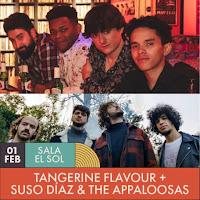 Tangerine Flavour y Suso Díaz & The Appaloosas en El Sol