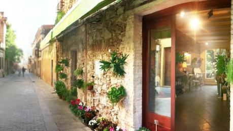 Flora Miserachs: floristerías 