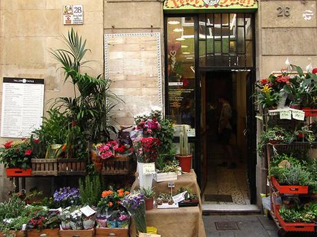 Petit Jardí: floristerías 