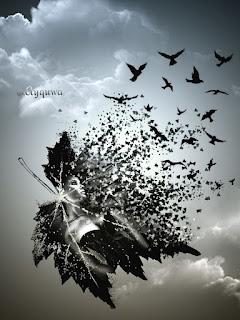 5.318 - VUELAN LAS HOJAS...