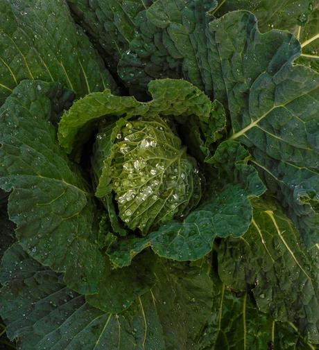 Col impermeable a la defensiva.