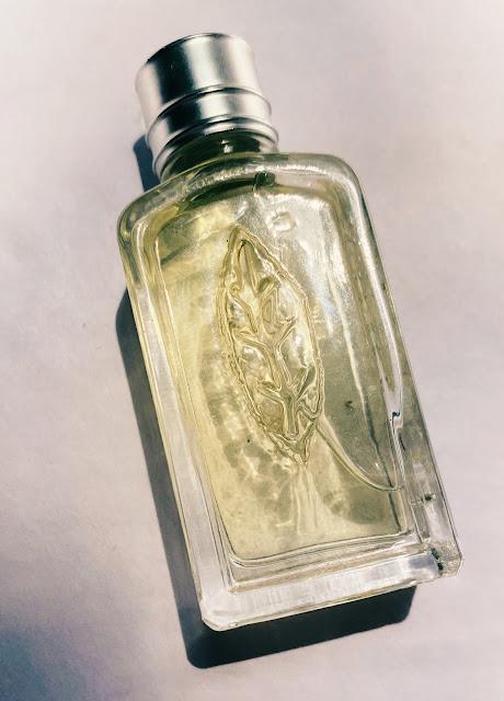 perfumes frescos citricos verano 2023