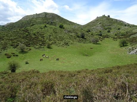 Sograndiu-Piurices-La Llinariega-La Veiga los Acebos-Ortocéu-Faguyán-Las Forcadas