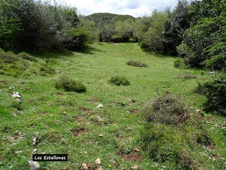 Sograndiu-Piurices-La Llinariega-La Veiga los Acebos-Ortocéu-Faguyán-Las Forcadas