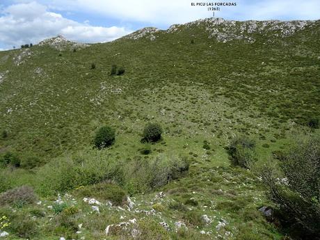 Sograndiu-Piurices-La Llinariega-La Veiga los Acebos-Ortocéu-Faguyán-Las Forcadas