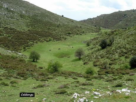 Sograndiu-Piurices-La Llinariega-La Veiga los Acebos-Ortocéu-Faguyán-Las Forcadas