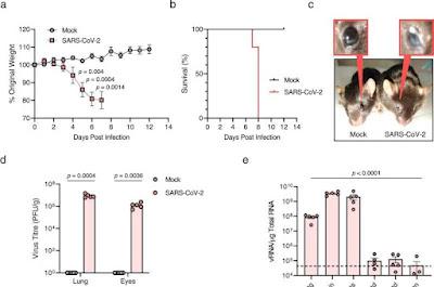 El COVID-19 afecta la visión y la percepción de profundidad