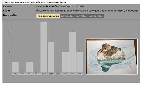 Zampullín en Sant Adrià