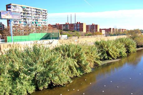 Zampullín en Sant Adrià